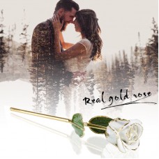 WR 24K Gold Dipped Rose Bud Real Flower /w Box Christmas Wedding Decor Love Gift 661021039938  173472034060